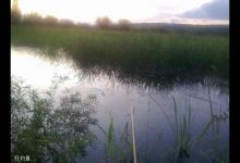 野外水域钓鱼的4个技巧，提升上鱼率