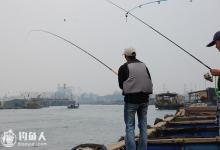 手竿钓河流网箱的心得技巧