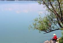 黑坑进攻钓法，揭秘如何慢鱼快钓的技巧