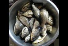 黑坑钓鲤鱼的饵料、渔具及找底技巧