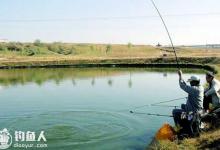 夏季肥水养殖塘钓鱼的五个技巧