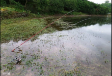 在水草丛中钓鱼必须注意的四点