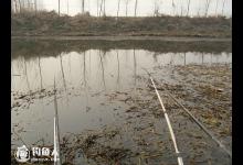 冬季枯黄草水域垂钓攻略