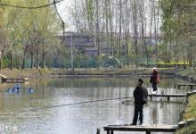 黑坑偷驴实战经验总结