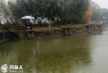 简谈黑坑垂钓的一些见解