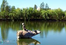 秋季钓公园鱼塘的饵料及钓组搭配技巧