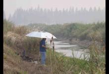 沟渠小河野钓的钓场饵料选择技巧