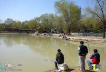 黑坑经验分享之作钓黑坑前的四要点