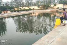 高手解答黑坑作钓的难点疑点