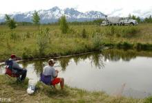 七个黑坑垂钓技巧，学会老板就哭了