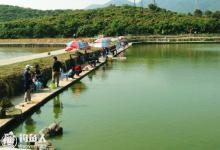 肥水塘钓鲫鲤草鱼的用饵技巧