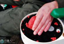 大师解答竞技池钓鱼及颗粒拉饵搭配问题