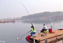 黑坑钓滑口鱼的3个技巧，增加开口咬钩率