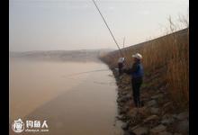 高手支招浑水钓鱼的应对技巧