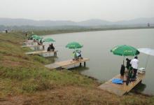 黑坑该怎么选钓位？