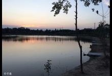 黑坑钓鲤鱼，淤泥浆层厚的应对措施