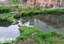 钓友分享污水鱼塘钓鱼的技巧