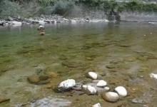 溪流钓选择钓位的8选与8不选