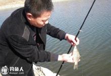 禁止打窝的鱼塘垂钓鲫鱼技巧