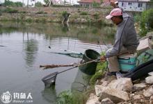黑坑放鱼当天的选位技巧和钓法