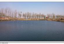 水库找准浮杆的节点 钓鱼感觉更胜一筹