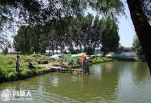 高手支招肥水塘作钓的应对技巧