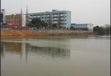 友情粗养塘 春日爽钓鲫两小时[何三爷]