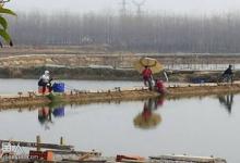 作钓黑坑不得不知的冷知识