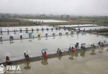 竞技混养池塘钓鱼的用饵打窝技巧