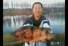 回顾江河野钓6斤多的大鳜鱼过程