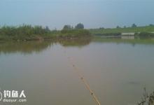 绷尖钓法在黑坑垂钓中的运用