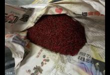 高手总结：黑坑偷驴的技巧与经验