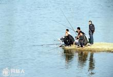 冬季溪流钓猫冬鱼之我见（中）
