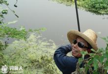 野塘钓鱼的钓位选择及垂钓技巧