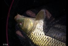 冬季水库夜钓鲤鱼的四个实用技巧