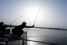 野钓漂相大全，不同的漂相如何把握提竿时机技巧