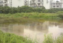 鱼塘钓鱼遇淤泥和酱层如何应对？