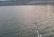 水库钓鱼注意这4点，钓好鱼不难