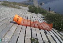 冬钓水库鲤鱼的饵料搭配技巧