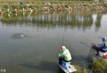 黑坑钓鱼的钓位、打窝技巧