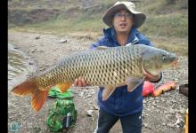 东北地区水库的钓鱼技巧解析（宫山嘴水库）