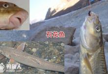 江钓石花鱼技巧及钓点饵料渔具选择