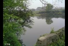 陌生野塘作钓，应观察和注意哪些地方？