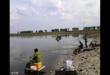 江河野钓的钓位、诱饵窝料及鱼竿的选用技巧