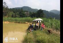 烂塘野钓的五个垂钓小窍门