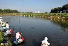 黑坑老板的5个规矩，合理吗？