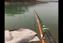 夏季水库钓鲤鱼技巧