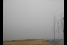 春钓鸭河泰山庙 半日钓一鲫[王者归来]