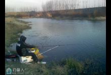 冬季江河的高效钓鲫鱼方法
