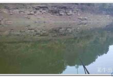 长湖钓鲫爽拉白条[某牛的钓鱼日记]